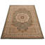 Oriental Area Rug-299487592