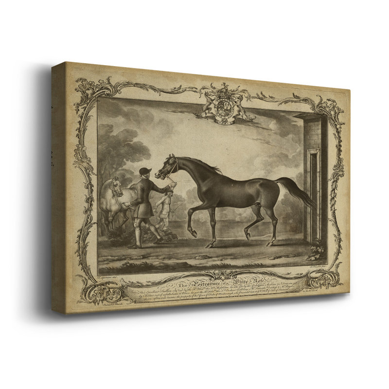 Distingué chevaux IV - impression sur toile tendue, L 18 po x H 12 po