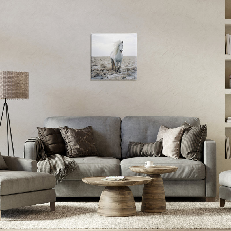 «Windswept Beach Horse», art mural sur toile par Ray Powers, H 17 po x l 17 po