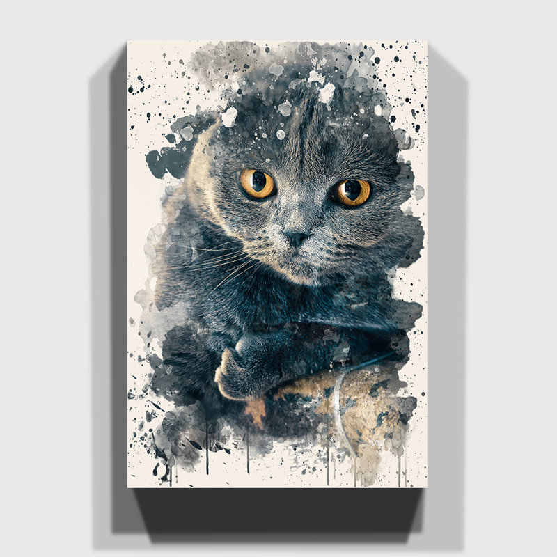 Scottish Fold Cat - Wrapped Canvas, 50cm H x 35cm W