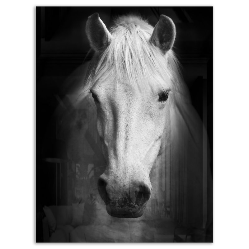 Cheval, reproduction d'art sur toile, cheval noir et blanc, H 40 po x l 30 po, Impression encadrée, Métal