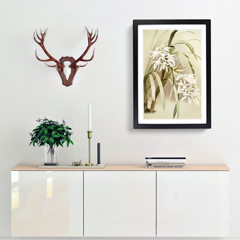 Magnolia Flowers Illustration Tab. 66 by Frederick Sander - Picture Frame Painting Print, 91cm H x 60cm W x 2cm D, Black