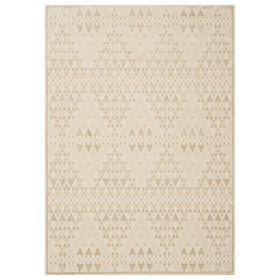 Northerly Geometric Area Rug