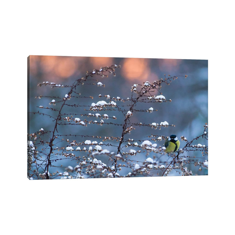 Winter Time by Mateusz Piesiak - Wrapped Canvas Print, 66.04 cm H x 45.72 cm W x 1.91 cm D