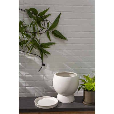 Pot à fleurs rond rond "Palace" avec soucoupe