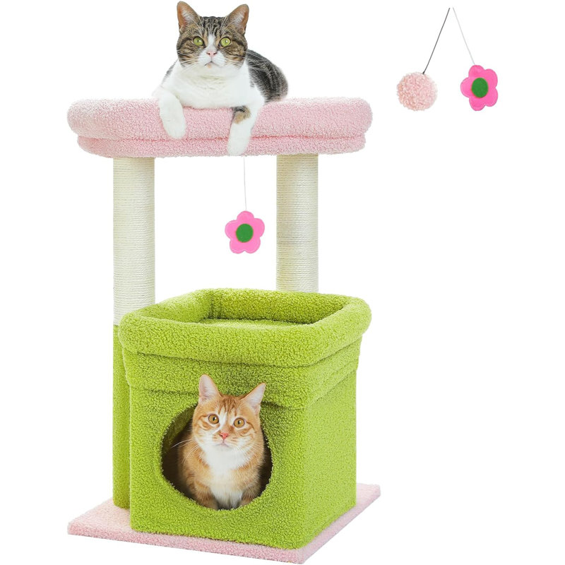 Cat Tree Flower