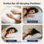 Oreillers luxueux en duvet d'oie 100% naturel haut de gamme-870815145