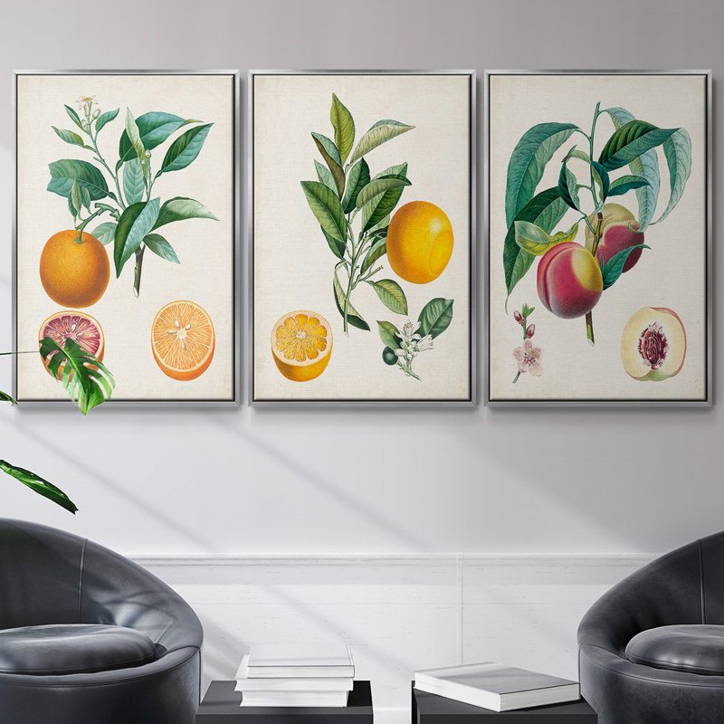 Orange de Malte, ensemble de 3 toiles encadrées sur toile, H 36 po x l 72 po, Argent