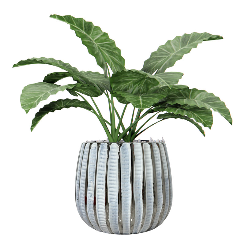 Boîte à fleurs 5,5 po en céramique, pot à fleurs en céramique, plante , Blanc