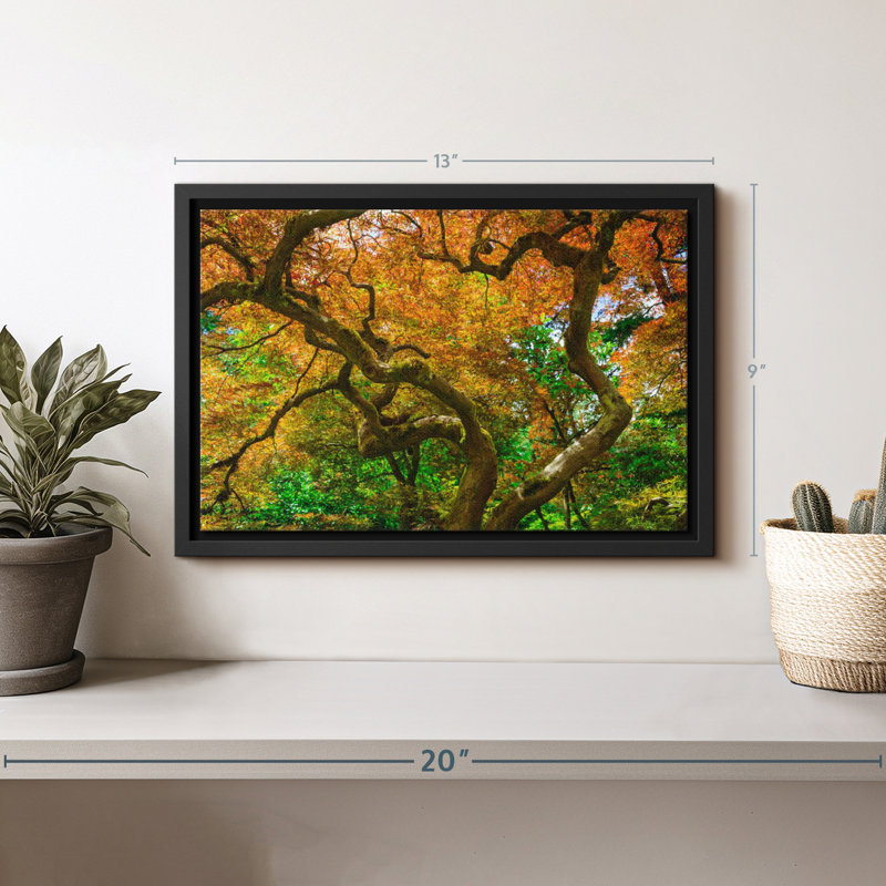 Mossy Maple Tree Canvas Print, 9" H x 13" W