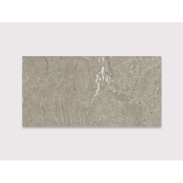 Domo Grigio Scuro 24" x 48"