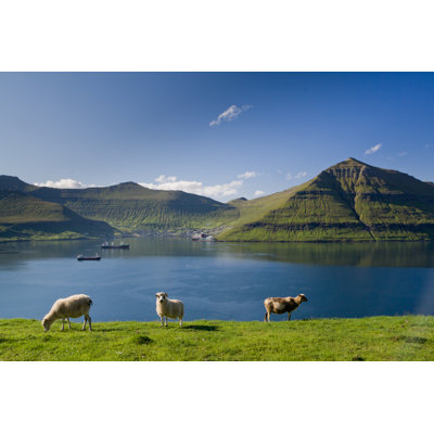 Grazing Sheep by Lazmi - Wrapped Canvas Print