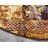 Arabica Abstract Indoor Rug
