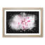 Striking White & Pink Carnation - Picture Frame Graphic Art Print-56863767-56863768