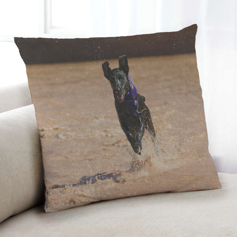 Coussin Dogs Dogs 76, Synthétique