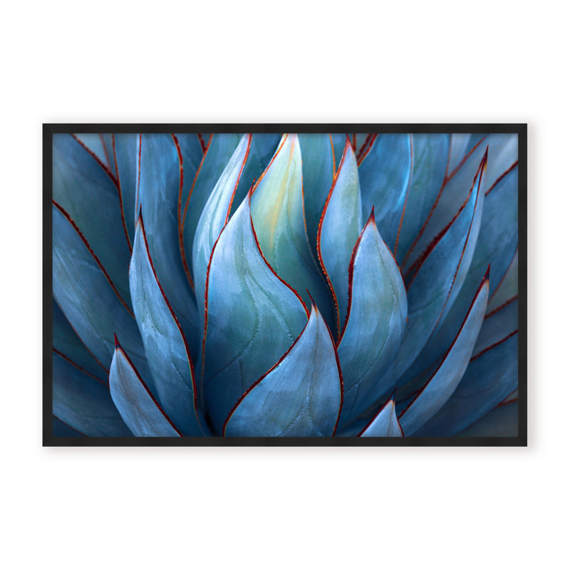 Nature Inspired Blue Agave Abstract by  - Picture Frame Graphic Art on Paper, 32" H x 48" W x 1.125" D, Black