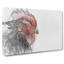 Grey Rooster Looking West In Abstract - Wrapped Canvas Print-55308077