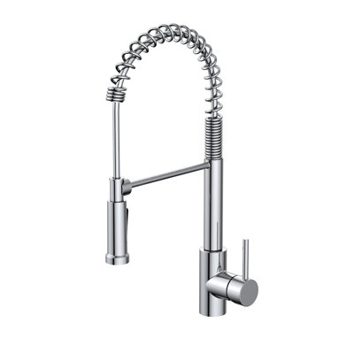 Vetta Pull Down Kitchen Faucet