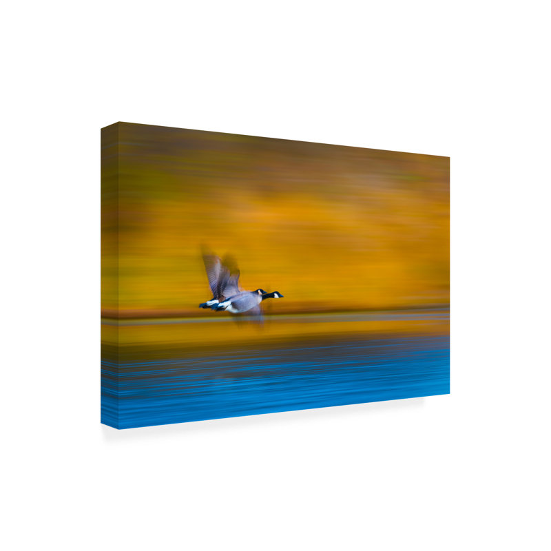 Art sur toile, rouleau de Kevin Wang, H 22 po x l 32 po