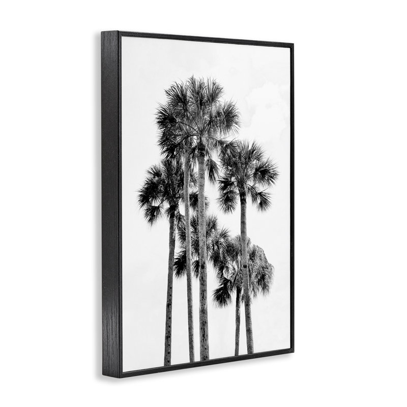 Giclée encadrée, noir et blanc, par Natalie Carpentieri, H 18 po x l 12 po, Giclée encadrée noir minuit