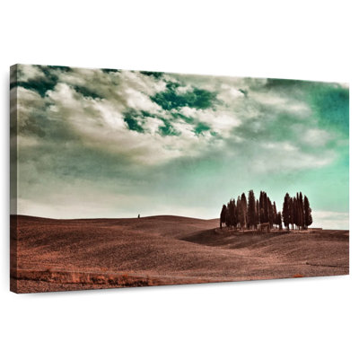 Cyprès de Nicci Tuscany Hill