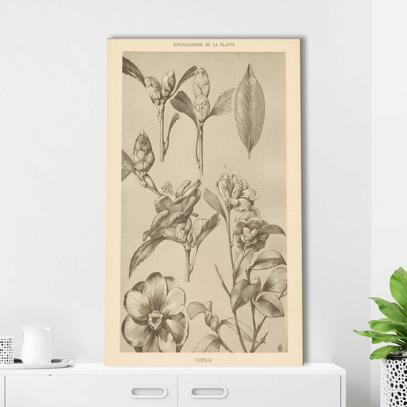 Lithographie de Florals II - peinture, L 18 po x H 30 po, Toile tendue