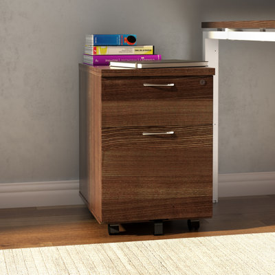 Buariki 40.4cm Wide 2 -Drawer Mobile File Cabinet