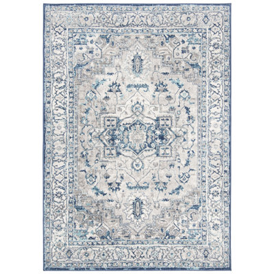 Aurich Light Gray/Blue Oriental Rug