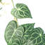 Hanging Plants 100cm Faux Ivy Plant