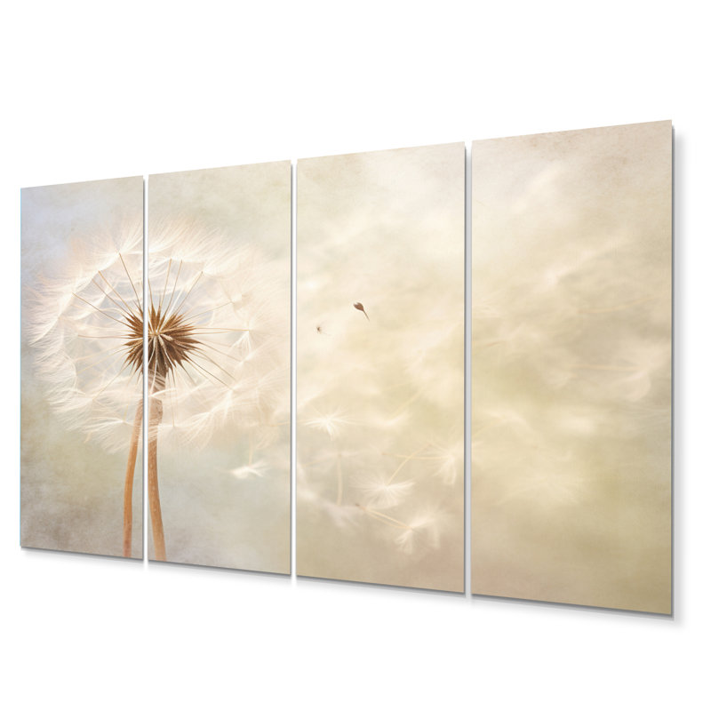 " White Dandelion Romantic Impression IV " 4 - Pieces