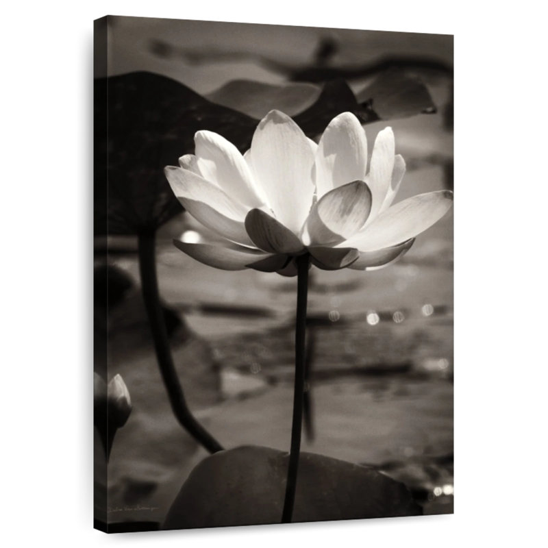 Lotus Flower I, 48" H x 32" W