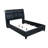 Queen Music Bed