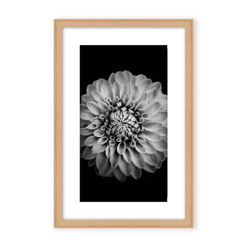 Nature Inspired Marigold by  - Picture Frame Photograph on Paper, 36" H x 24" W x 1.125" D, Black, Framed Matted Print