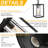 Daxston 1-Light Outdoor Hanging Lantern Lighting