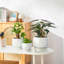 TYHPOT Ceramic Pot Planter-1051147105