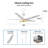 Fundora Ceiling Fan with LED Lights-953775539-953775551-954671346
