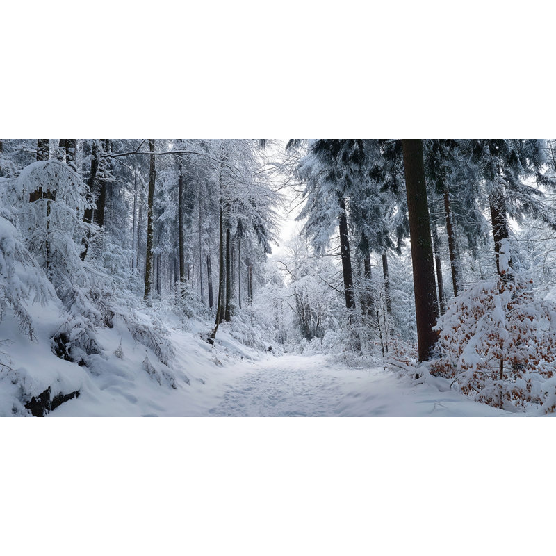 «Snowy Forest Path - Serene Winter Woodland», art mural sur toile tendue, H 27,5 po x l 55 po