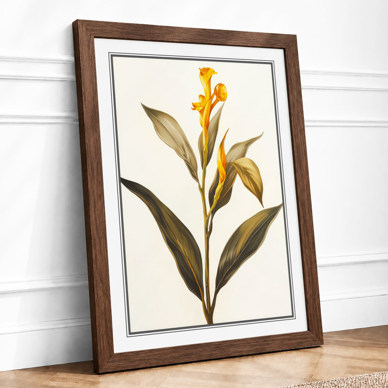 Golden Daffodil Study Botanical - Framed Print, A4 - 29.7 x 21.0 cm, Walnut