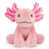 Salamander