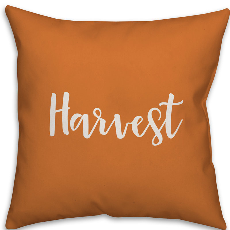 Reversible Throw Pillow, Orange, Pillow Cover