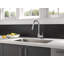 Peerless Pull Down Kitchen Faucet