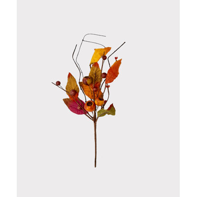 Feuille d’automne et pulvérisateur à capsule