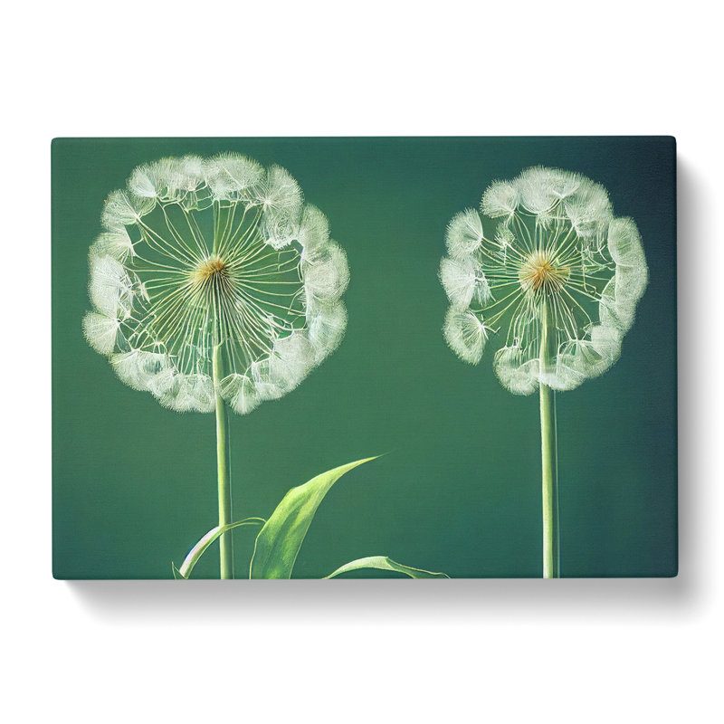 Inspiring Dandelion Flowers - Wrapped Canvas Print, 35cm H x 50cm W x 3cm D
