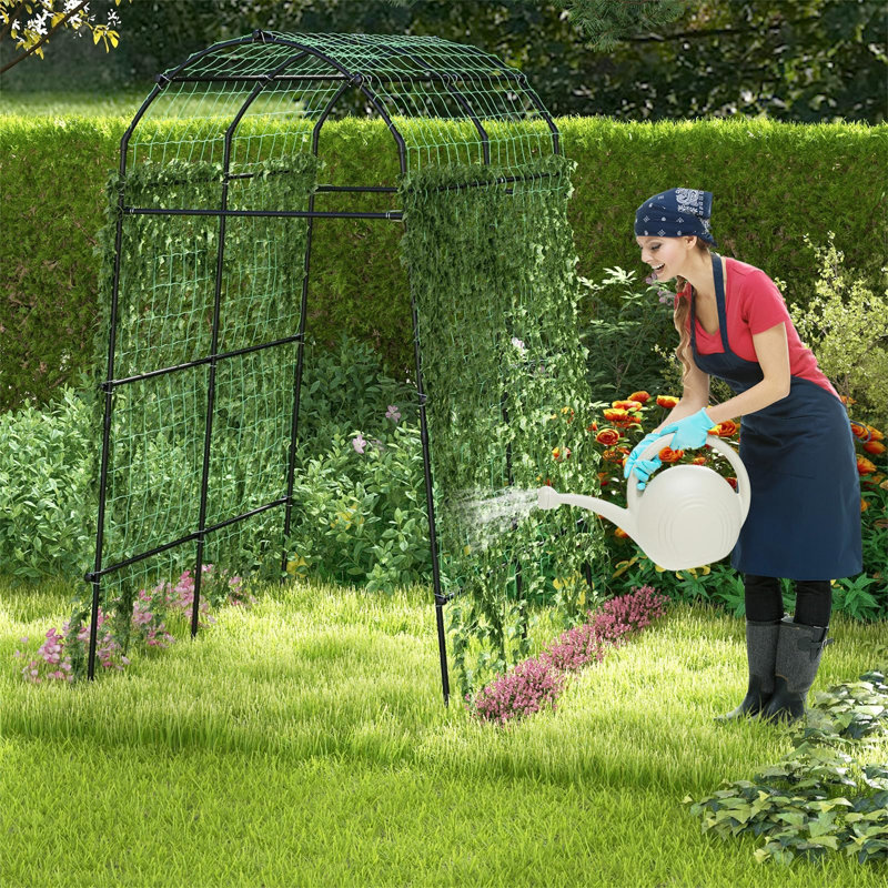 Rodaisha 230cm H x 160cm W Metal Arched