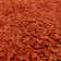 Taiwo Shaggy Orange Area Rug