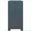 Armoire de rangement avec tablette réglable de 40 po Cabinets, conception de porte unique, utilisation dans plusieurs pièces | Contemporain | Bleu marine
