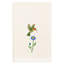 Ensemble de serviettes 100% coton Hada-1360223245