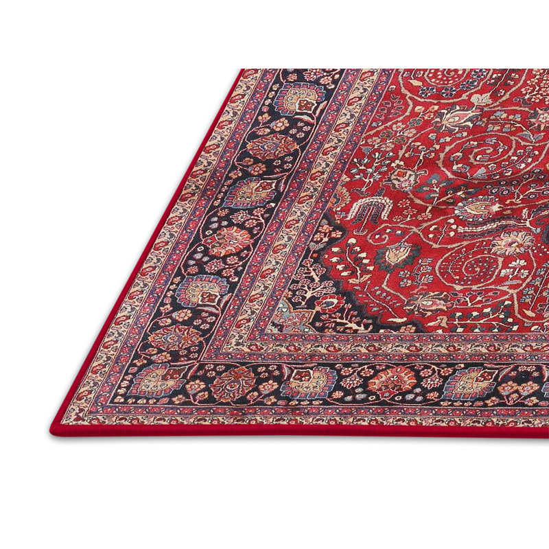 Girdler Oriental Indoor Rug, Rectangle 2' x 3'