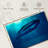 Brampt Blue Whale Underwater-108908537