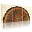 «Plants & Flowers Tree Ring», ensemble de 3 impressions sur toile-662398013